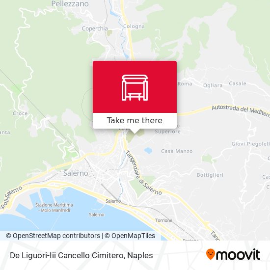 De  Liguori-Iii Cancello Cimitero map