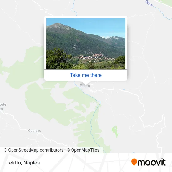 Felitto map