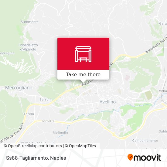 Ss88-Tagliamento map