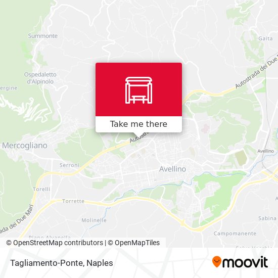Tagliamento-Ponte map