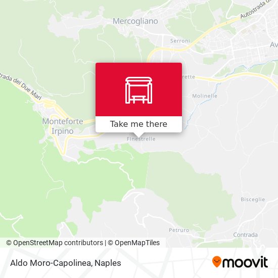 Aldo Moro-Capolinea map