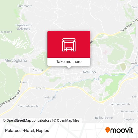 Palatucci-Hotel map
