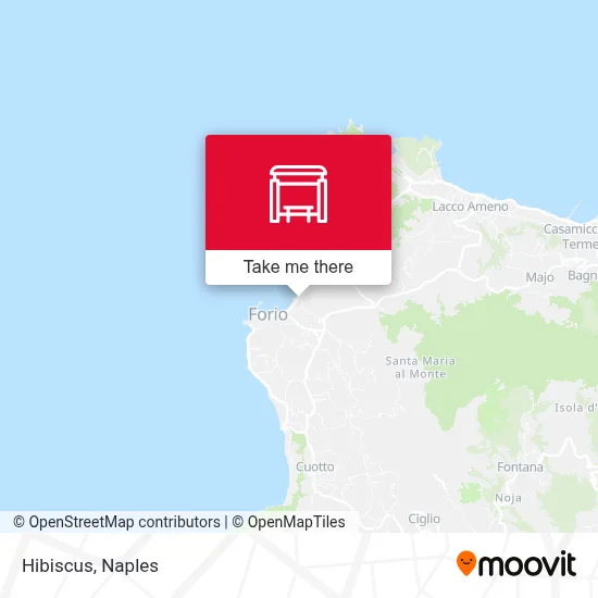 Hibiscus map