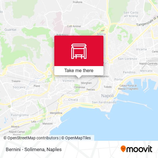 Bernini - Solimena map