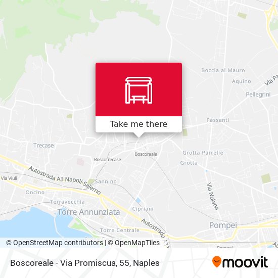 Boscoreale - Via Promiscua, 55 map