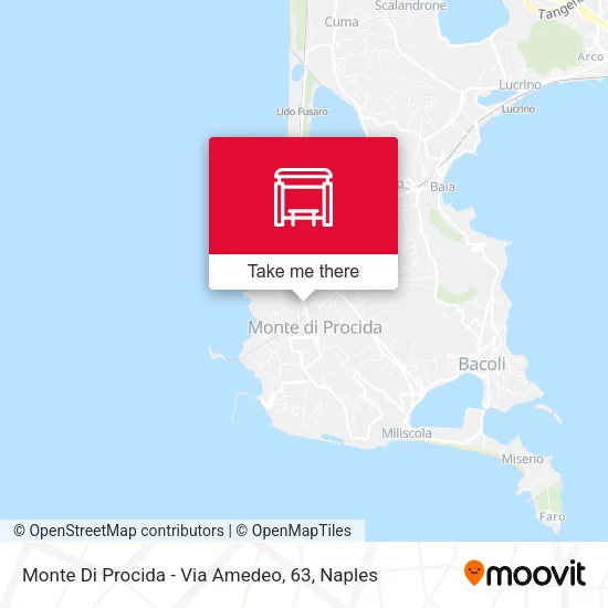 Monte Di Procida - Via Amedeo, 63 map
