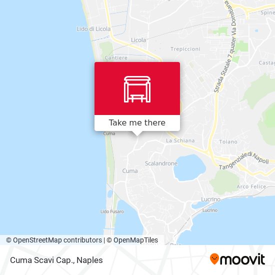 Cuma Scavi Cap. map