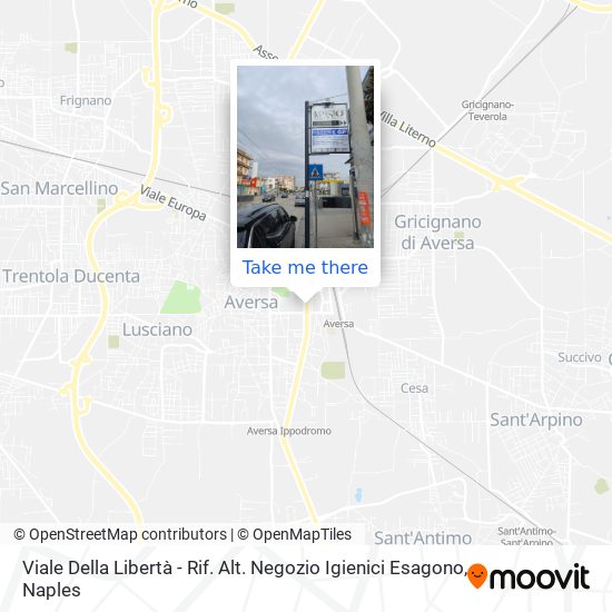Viale Della Libertà - Rif. Alt. Negozio Igienici Esagono map