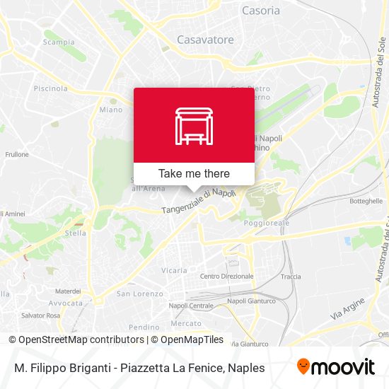 M. Filippo Briganti - Piazzetta La Fenice map