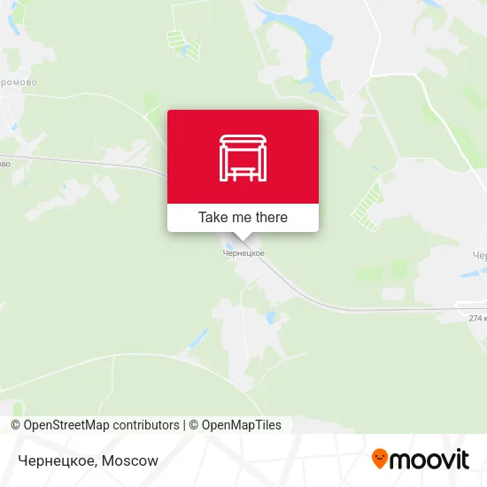 Чернецкое map