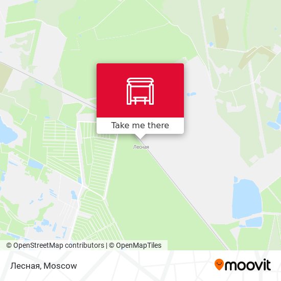 Лесная map