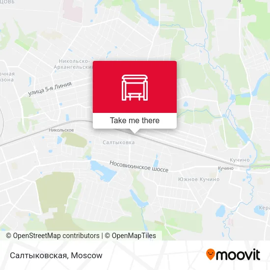 Салтыковская map