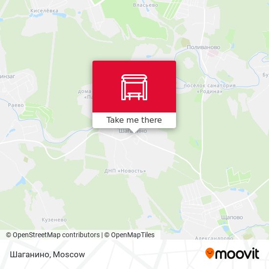 Шаганино map