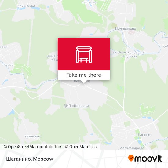 Шаганино map