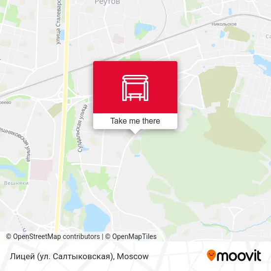 Лицей (ул. Салтыковская) map