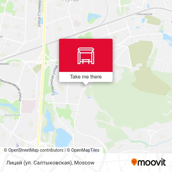 Лицей (ул. Салтыковская) map