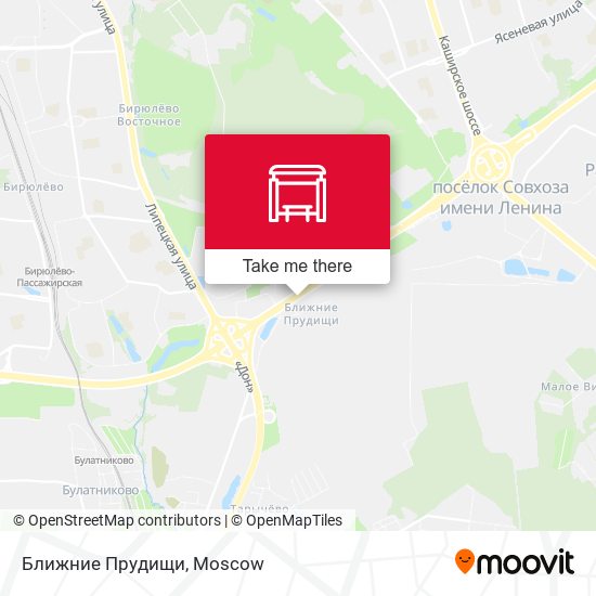 Ближние Прудищи map