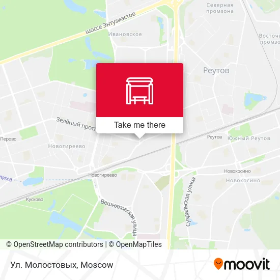 Ул. Молостовых map