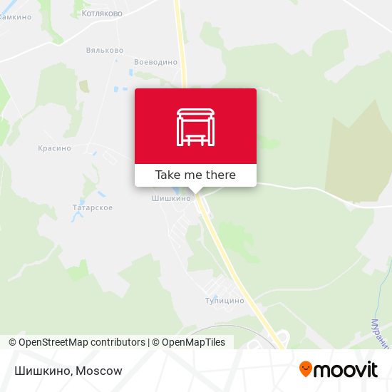 Шишкино map