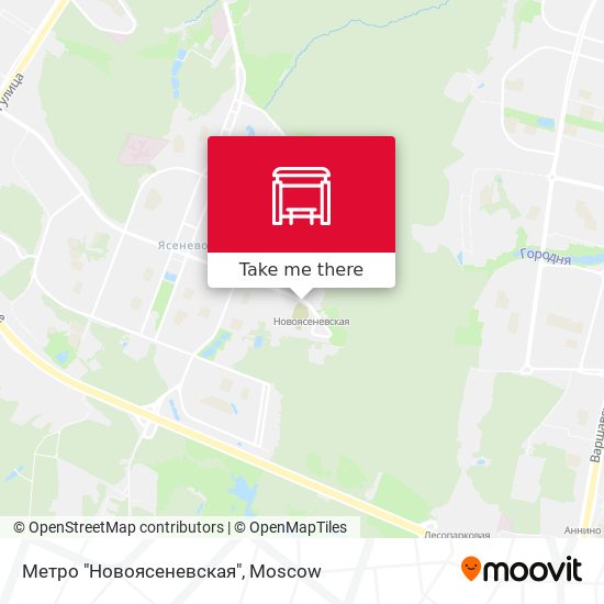 Метро "Новоясеневская" map