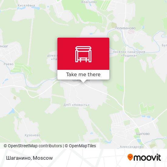 Шаганино map