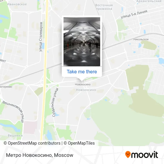 Метро Новокосино map