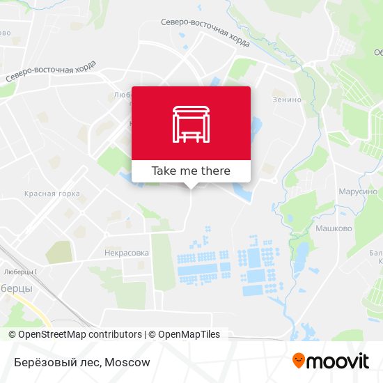 Берёзовый лес map