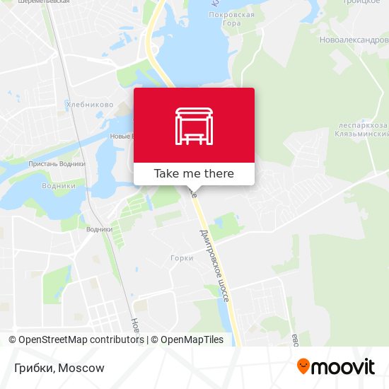 Грибки map