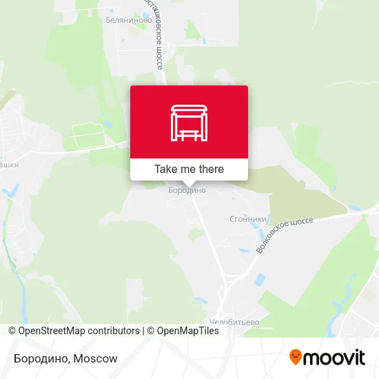 Бородино map