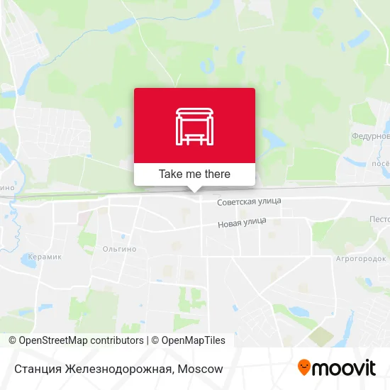 Станция Железнодорожная map