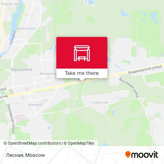 Лесная map
