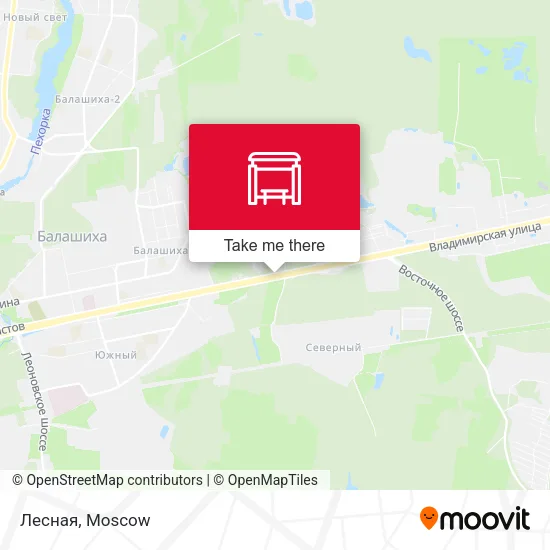 Лесная map