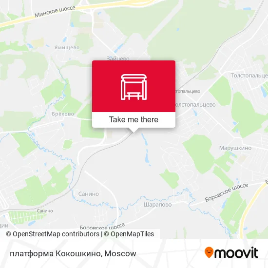 платформа Кокошкино map