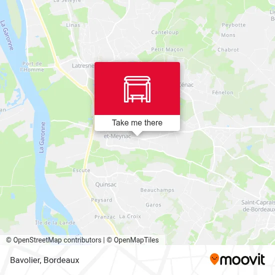 Bavolier map