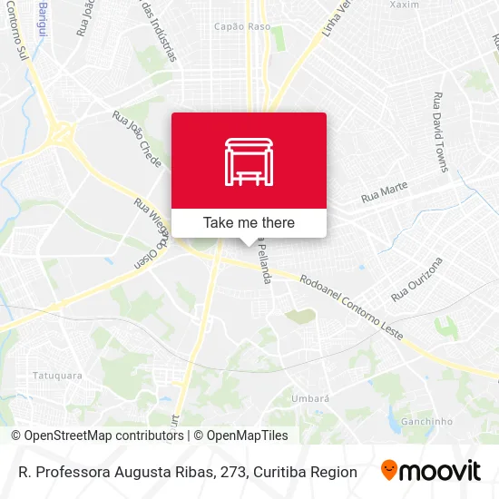 R. Professora Augusta Ribas, 273 map