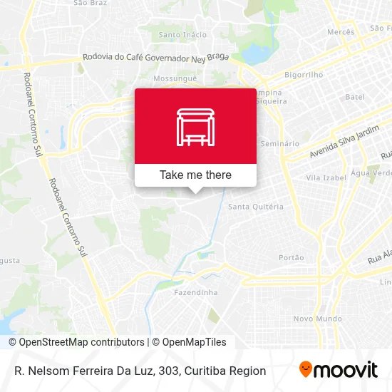 R. Nelsom Ferreira Da Luz, 303 map