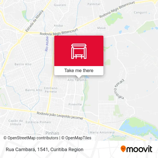 Rua Cambará, 1541 map