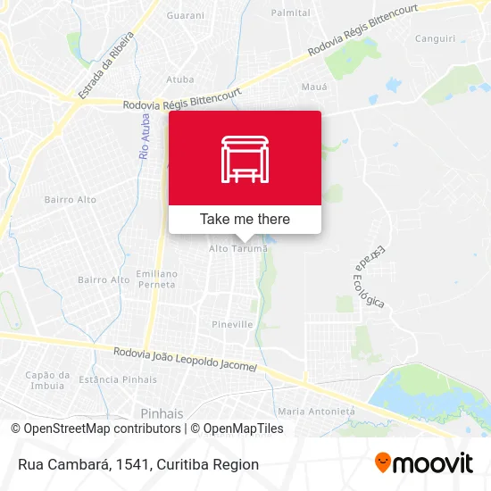 Rua Cambará, 1541 map