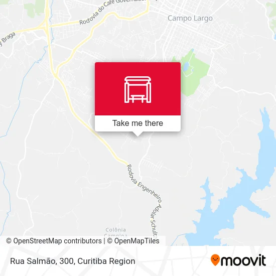 Rua Salmão, 300 map