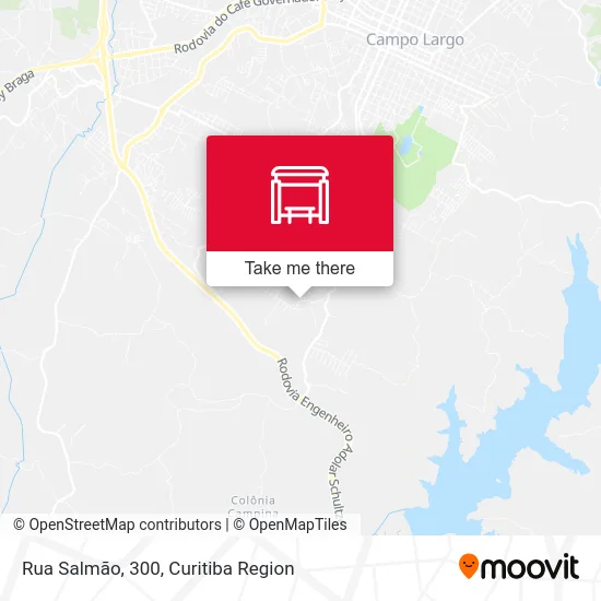 Rua Salmão, 300 map