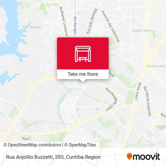 Rua Anjolilo Buzzetti, 293 map