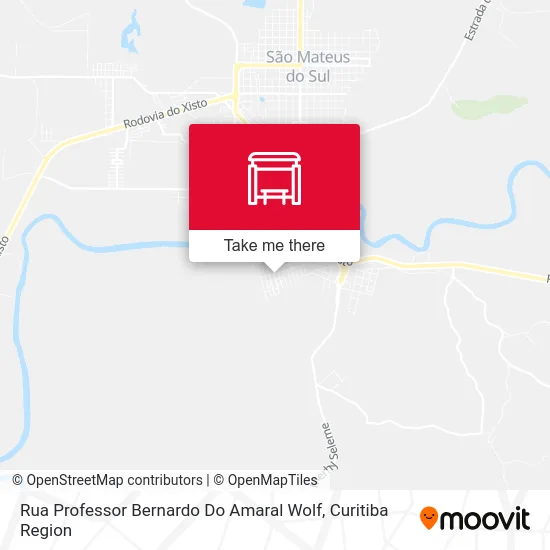 Rua Professor Bernardo Do Amaral Wolf map