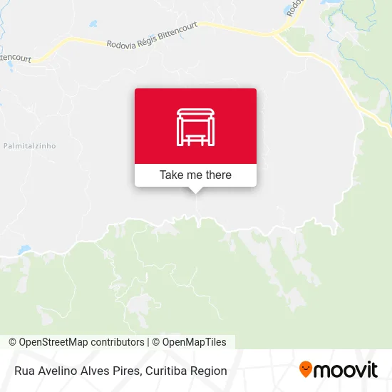 Rua Avelino Alves Pires map