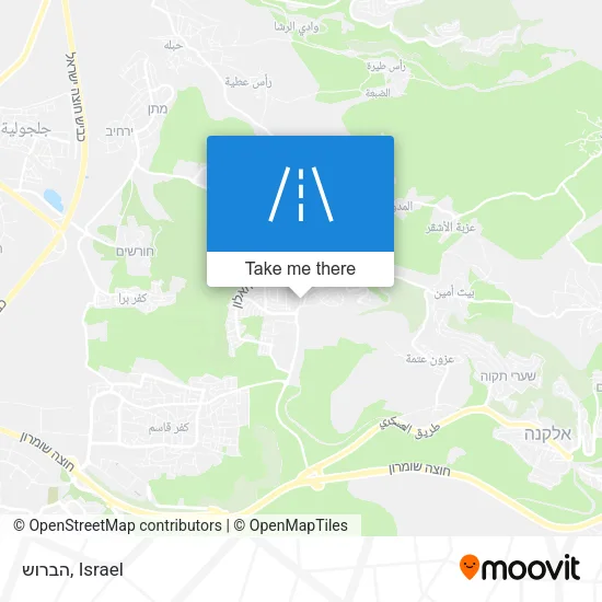 Карта הברוש