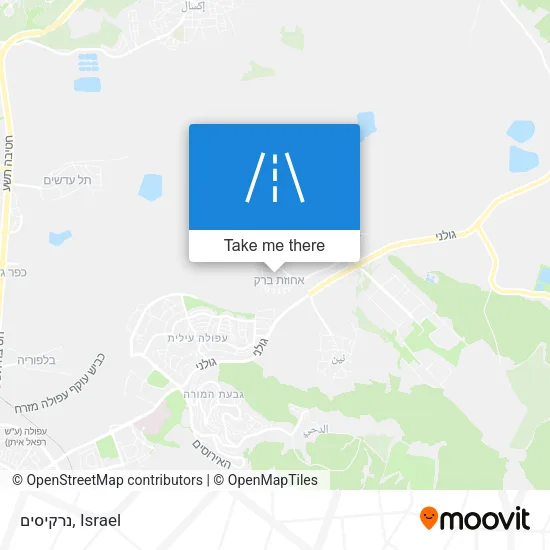 Карта נרקיסים