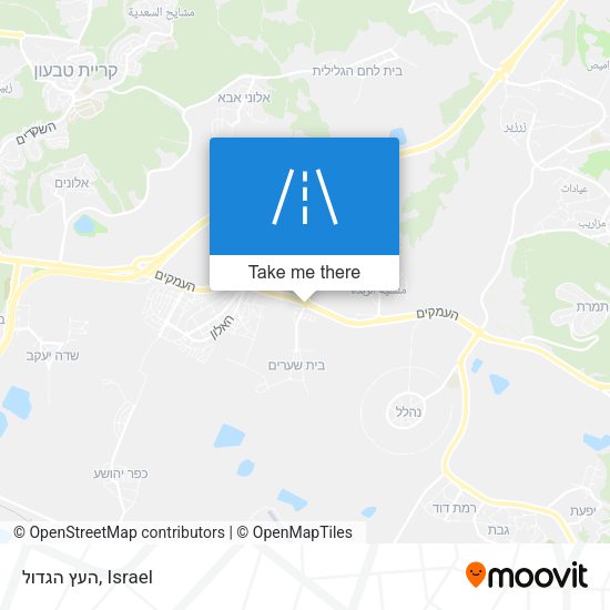 העץ הגדול map