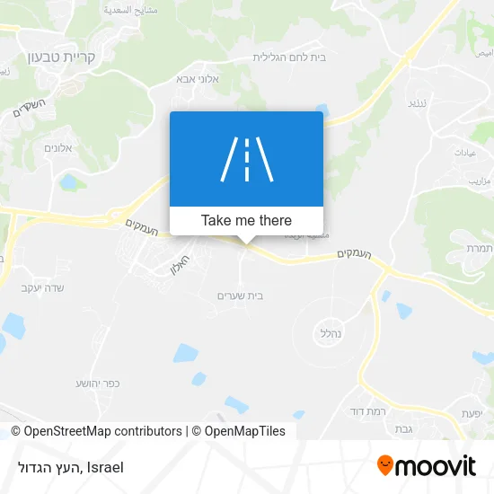 Карта העץ הגדול