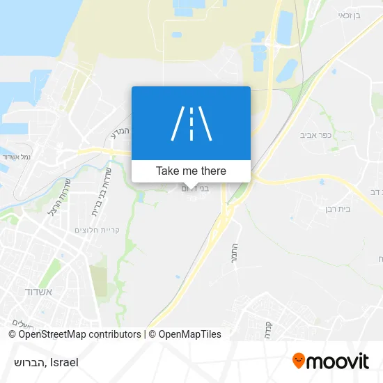 Карта הברוש