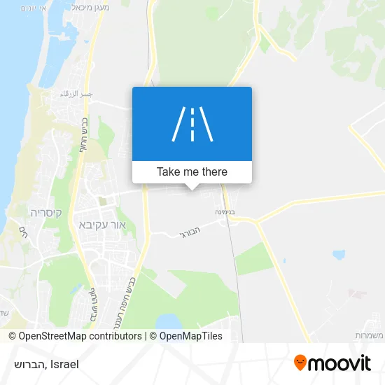 Карта הברוש