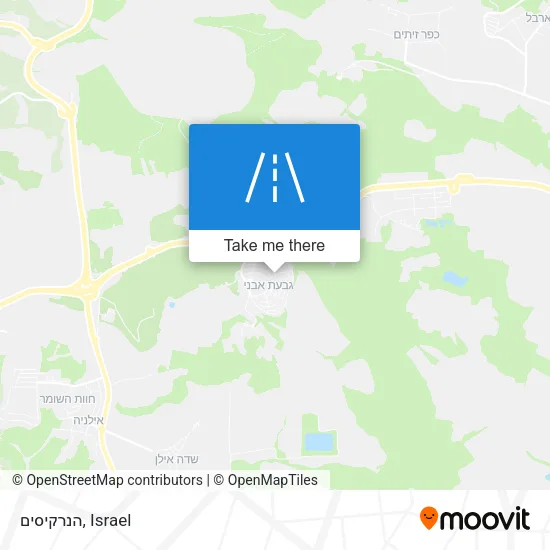Карта הנרקיסים